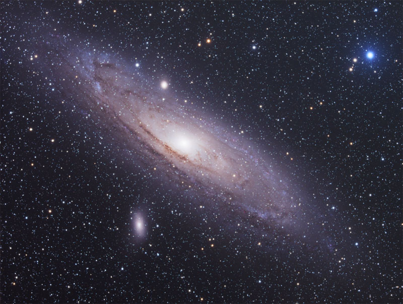 M31